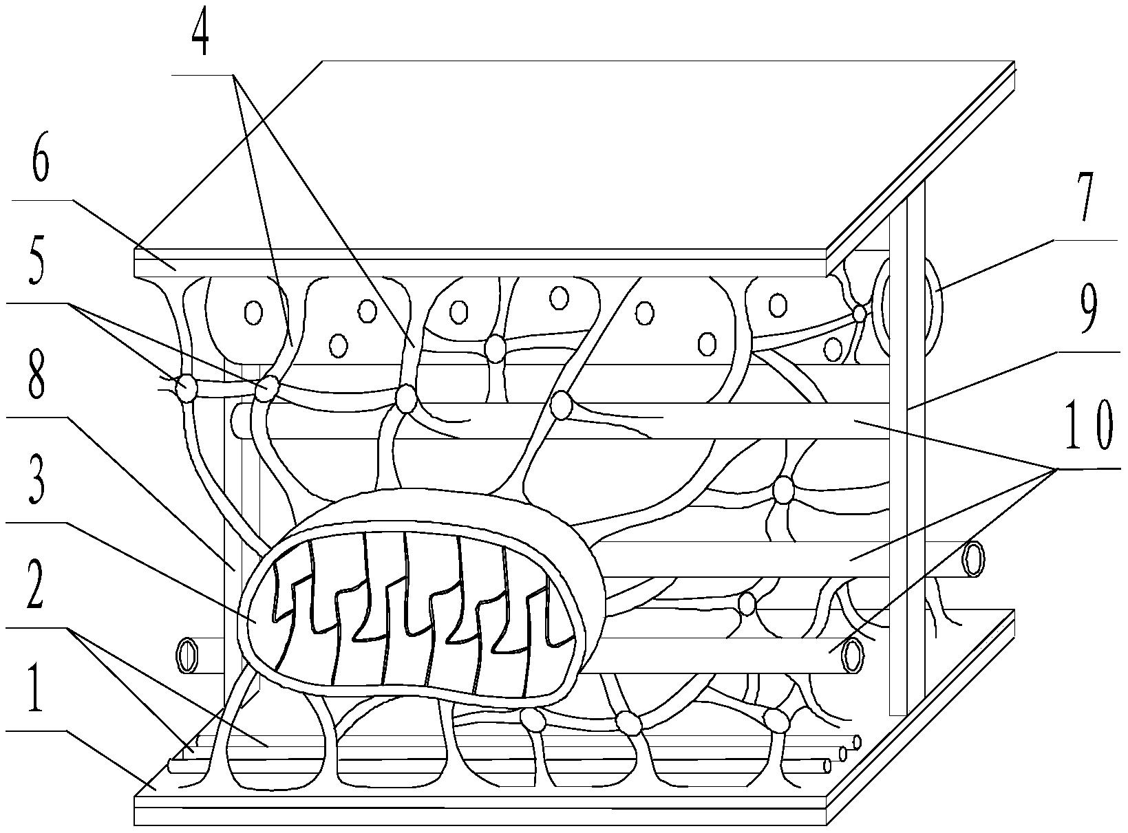 一种生物学细胞骨架教学模型