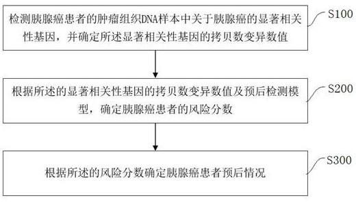 一种胰腺癌预后判定方法及装置