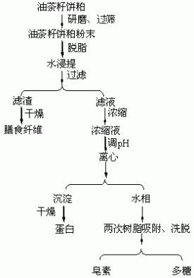 一种从油茶籽饼粕中提取皂素和多糖的方法