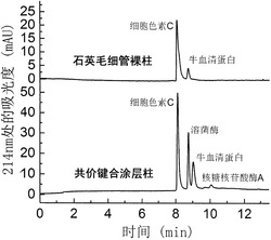 一种抗蛋白吸附毛细管电泳共价键合涂层柱的制备方法