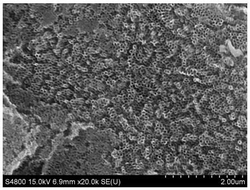 负载大孔锑锡氧化物的二氧化钛纳米管的制备方法