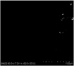 一种氧化石墨相氮化碳及其制备方法与应用