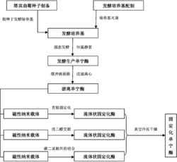 一种直接从发酵液中固定化单宁酶的方法