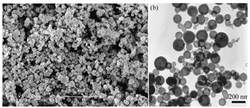 加载硅酸锌微球的功能化纤维素膜及用于检测单宁酸的方法