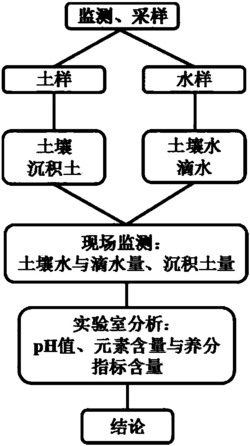 一种洞穴体系式的水土漏失监测方法与装置