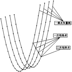 螺旋曲面展成加工中确定刀具廓形的点矢量二次包络法