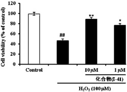 N-(1,2,3,4-四氢异喹啉基)-阿魏酰胺-O-烷基胺类化合物和应用