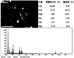 一种碳纳米管表面化学镀Ni-P用镀液及方法