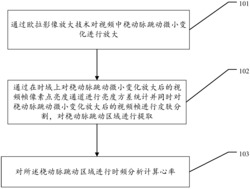 一种基于欧拉影像放大的无接触式心率测量方法及装置