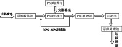 一种利用稀脉浮萍与胶质红假单孢菌联合处理有机废水的方法