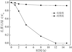 一种利用丝瓜囊负载酿酒酵母材料降解孔雀石绿废水的方法