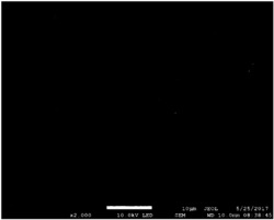 具可见光催化性能的柔性TiO2/PVDF@MoS2复合纳米纤维及其制备方法