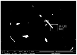 Al3Co包覆Al2O3纳米颗粒增强铝基复合材料及其制备方法