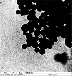 一种磁性纳米粒子及其制备磁性固相载体的用途