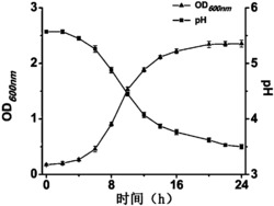 一种金黄色葡萄球菌抗菌剂及其制备方法和应用