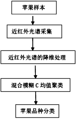 一种混合模糊C均值聚类的苹果品种分类方法