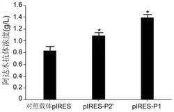 人工合成的内含子、哺乳动物细胞重组表达载体、哺乳动物宿主细胞、表达方法及其应用