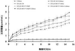 一种40℃下高比活木聚糖酶突变体及其构建方法与应用