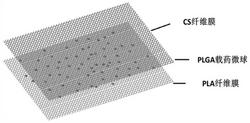 载生物活性因子PLA/PLGA/CS复合膜及其制备方法