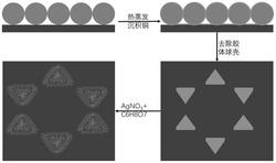 银纳米片团簇阵列及其制备方法