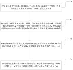 一种三维数字图像中分支点的快速检测方法