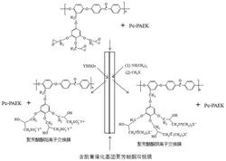 一种侧基含酞菁基团单片型聚芳醚酮双极膜制备方法