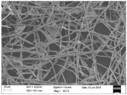 菌丝基掺杂的超级电容器材料的微生物富集制备方法