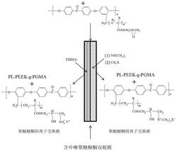 一种侧链含卟啉水解离催化基团单片型聚芳醚酮双极膜制备方法