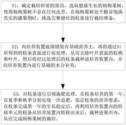 一种江北杨梅果树丰产优质的栽培方法