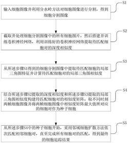 基于局部图匹配和卷积神经网络的细胞追踪方法