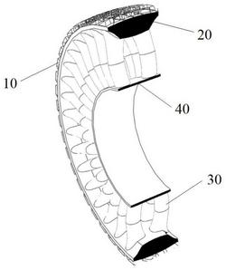 具有仿生牙齿结构的非充气弹性体轮胎