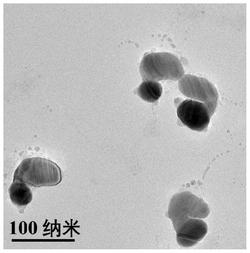 一种检测肠毒素的拉曼传感分析方法