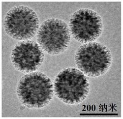 一种基于荧光钙钛矿纳米材料的油脂中水分含量测定的荧光比率检测方法