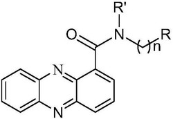 吩嗪-1-甲酰胺类化合物及其应用