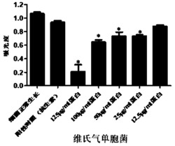 一种黄鳝抗菌肽的制备方法