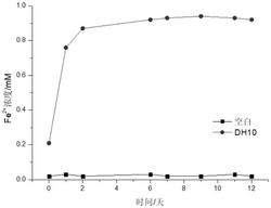 一株铁还原菌Tessaracoccus oleiagri DH10菌株及其应用